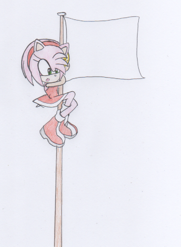 Amy Rose - Flagpole