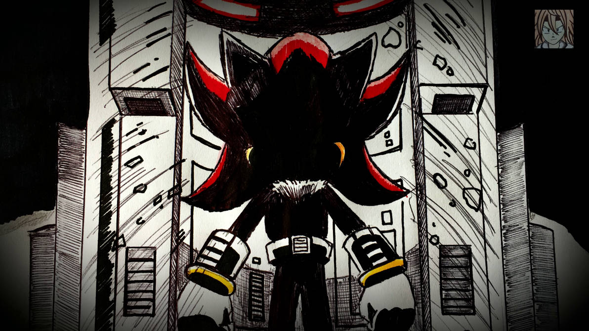 Project: Shadow by ManicSam on DeviantArt