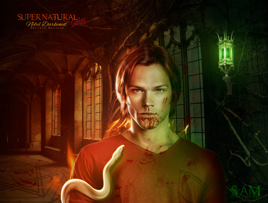 Supernatural Series - Sam by NebelDarkened on DeviantArt