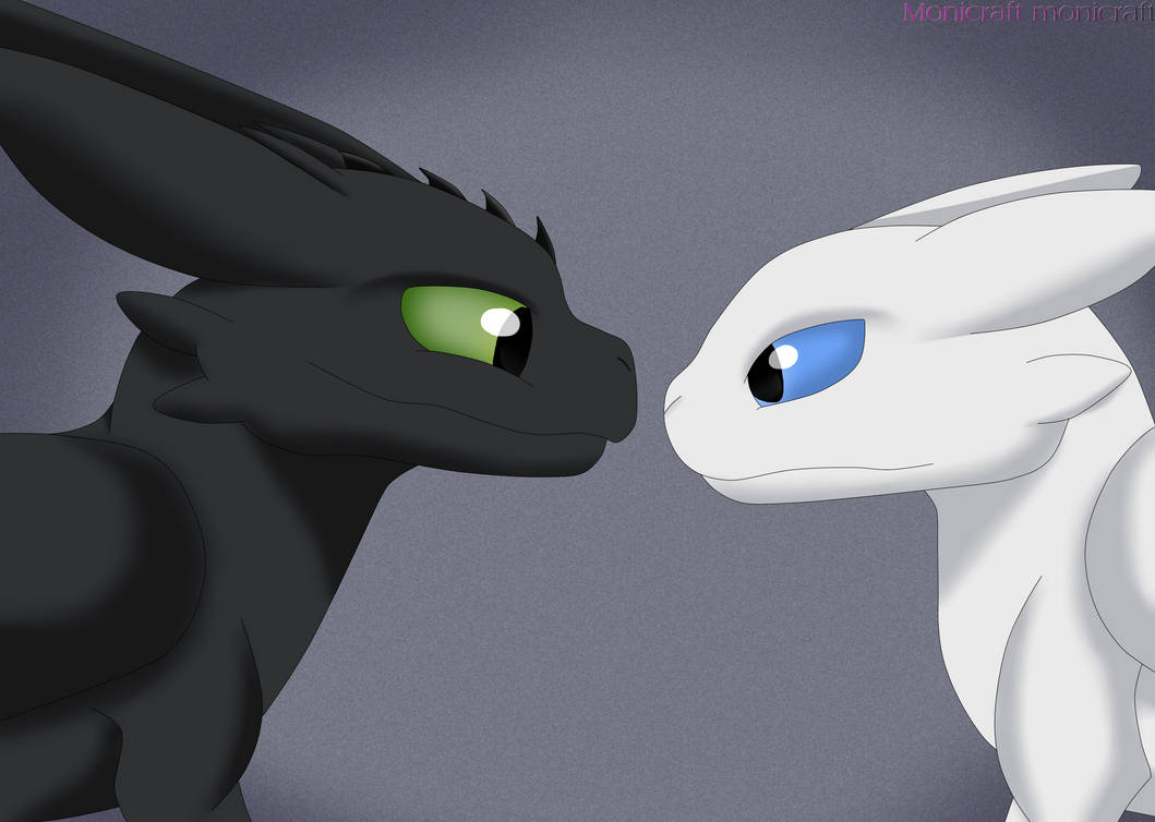 Toothless x Light Fury How To Train You Dragon by Monicraftmonicraft on ...