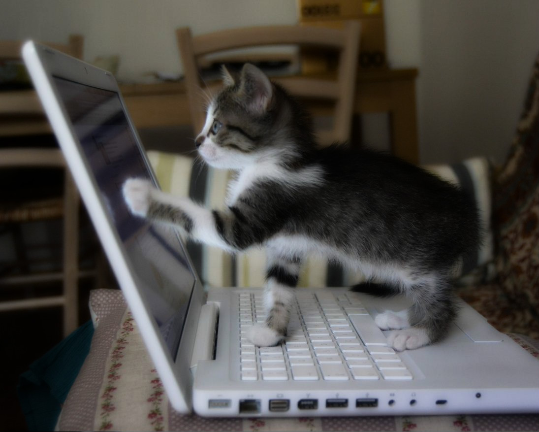 Amelie and the Macbook