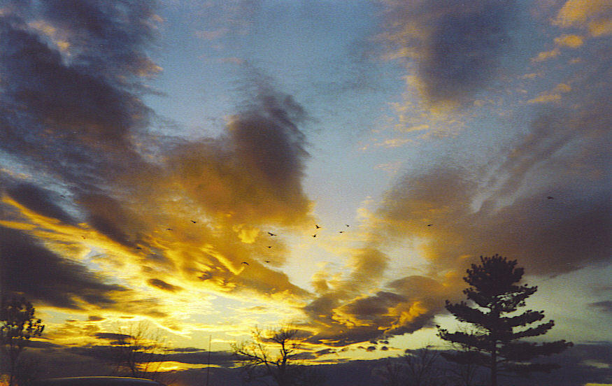 Sunset II by PantheraTigrisM on DeviantArt