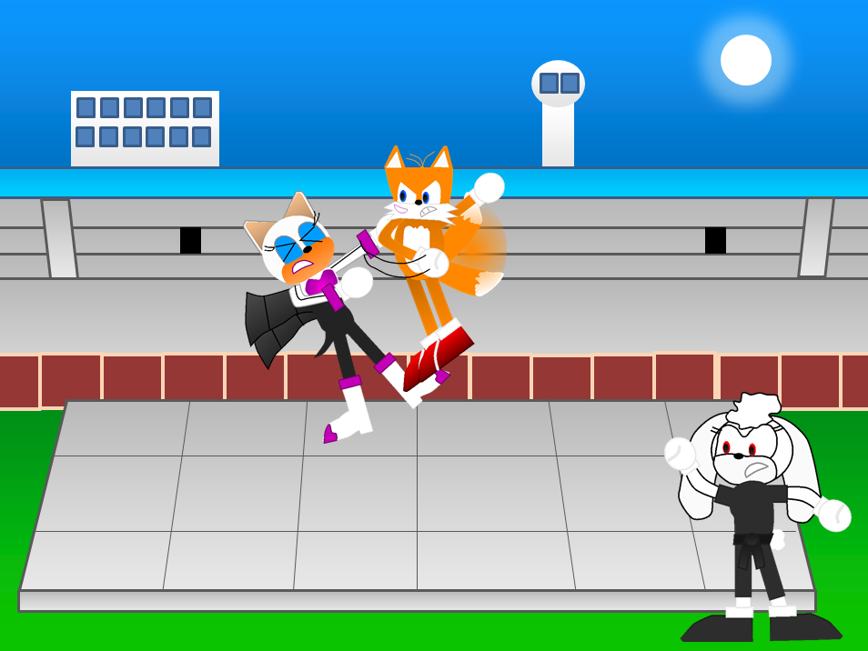 request - Sonic X - Tails Defeat Rouge My version by JohnmakerX on ...