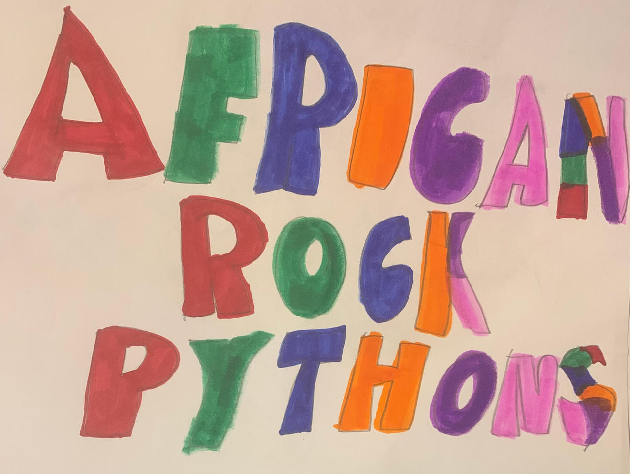 AFRICAN ROCK PYTHONS by AmericanDad2022 on DeviantArt