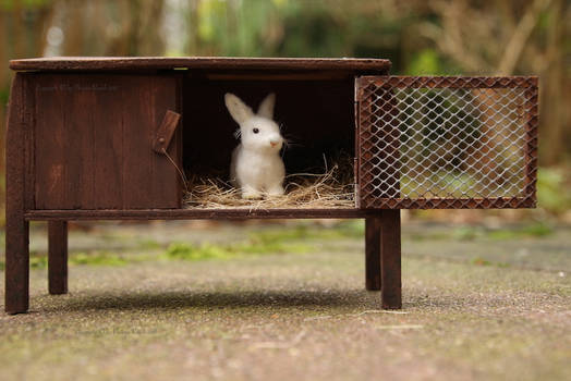 Schleich bunny with rabbit hutch