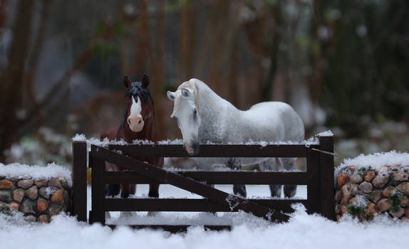 CollectA Percheron and Schleich Shire