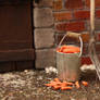 Stablemate Carrots in bucket