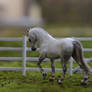 Small toy horse repainted, Lipizzan