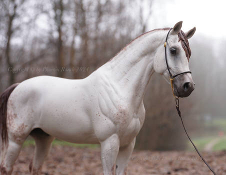 Model horse resin Luan (by Eva Rossiter) scale 1/9