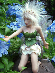 Fairy in the flowers