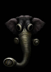 Masked Elephant