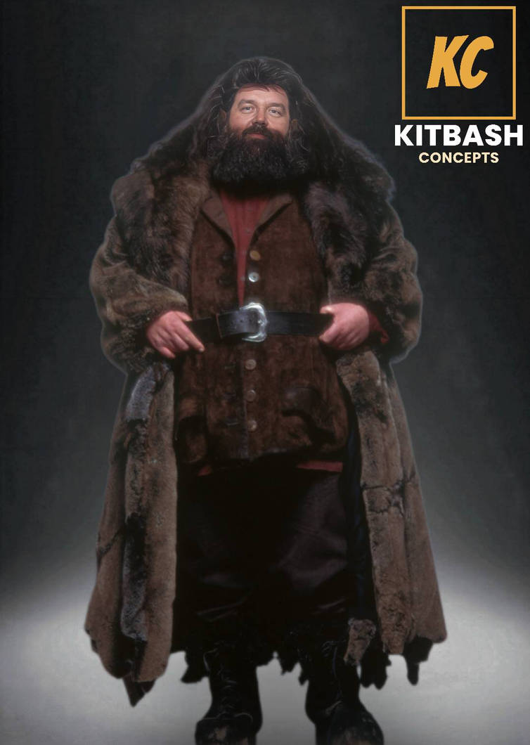 Harry Potter Max Reboot: Nick Frost/Rubues Hagrid by KitBashConcepts on ...