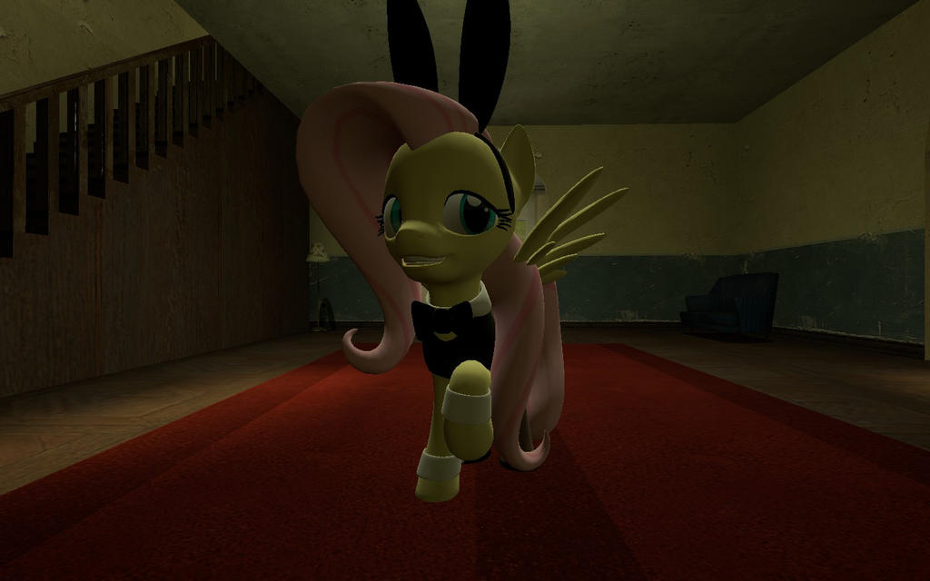Flutterbunny by KennyVsTheUniverse on DeviantArt