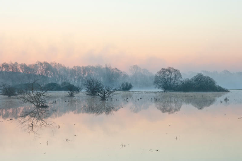 Spring flood