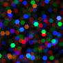 Star bokeh