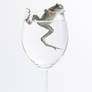 Toad in the glass