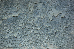 Cracked texture