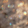 Rainbow bokeh