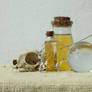still life with skull and leaf