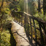 Abandoned pathway