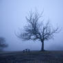 Monster tree