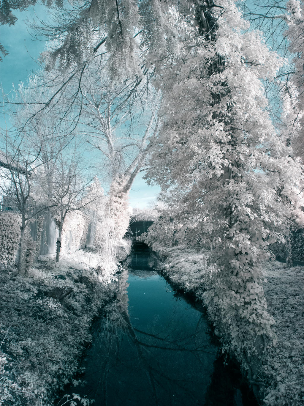 Infrared Test 2