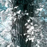 Infrared Tree