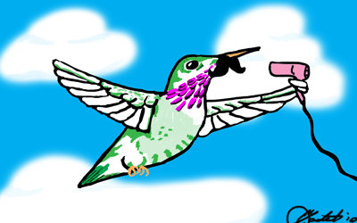 Hummingbird Animation