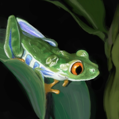 For the Frog Lovers: