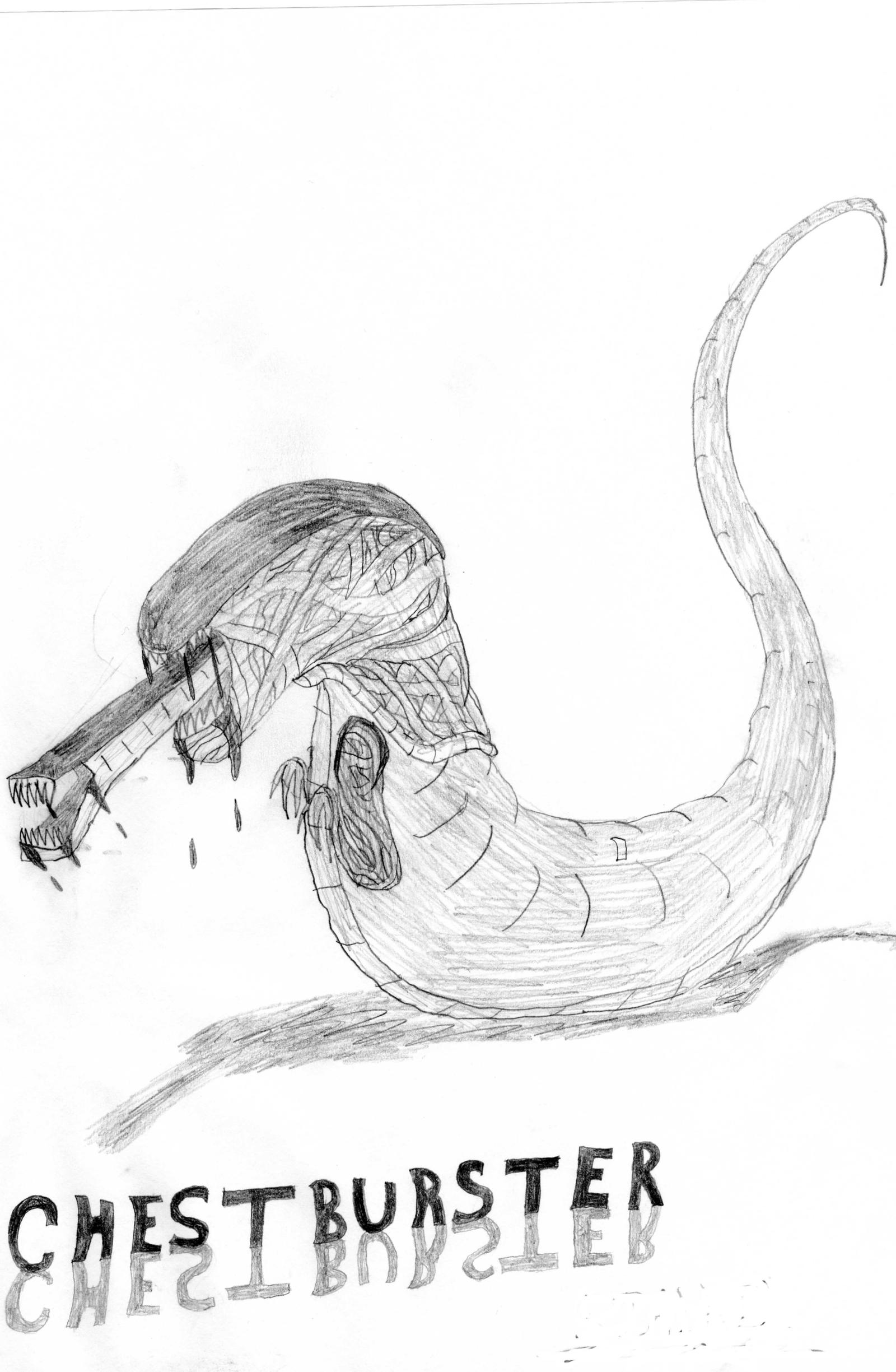 Chestburster Drawing by TopsyTriceratops on DeviantArt