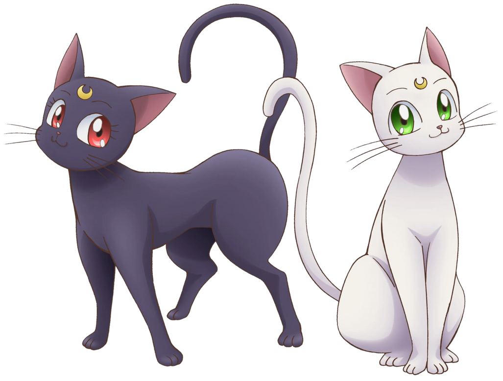 Кошка муна. Артемис Сейлор Мун кошка. Sailor Moon Артемис кошка. Сейлормун кошка Луна. Sailor Moon Луна и Артемис кошки.