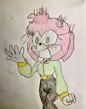 Amy Rose blushing.