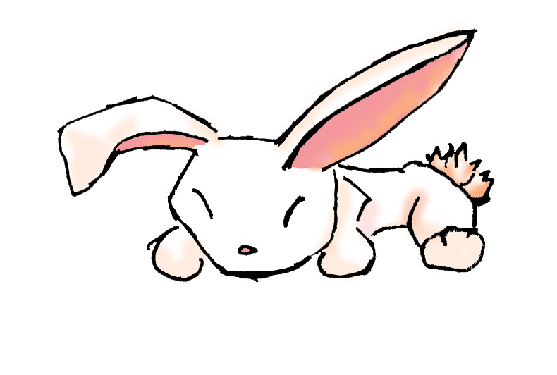 bunny illustration