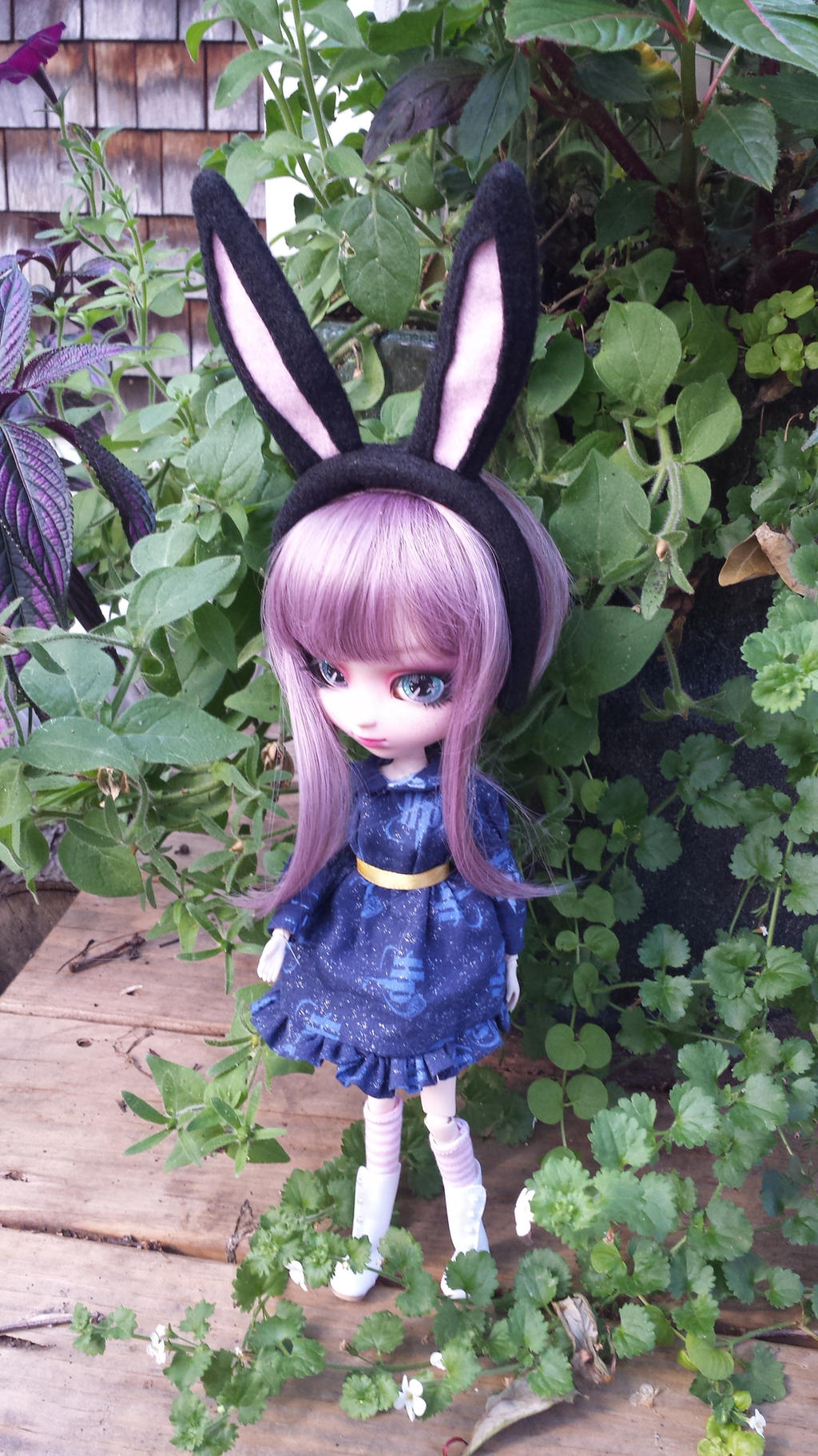 Black Bunny Ears for Pullip Doll