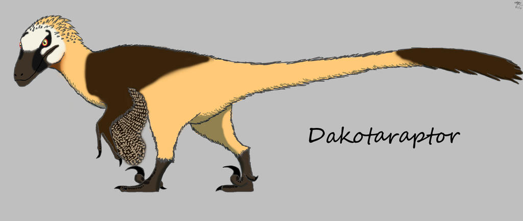 Beda Raptor Bearded Raptor by allotyrannosaurus on DeviantArt