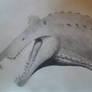 Hand drawn Spinosaurus.