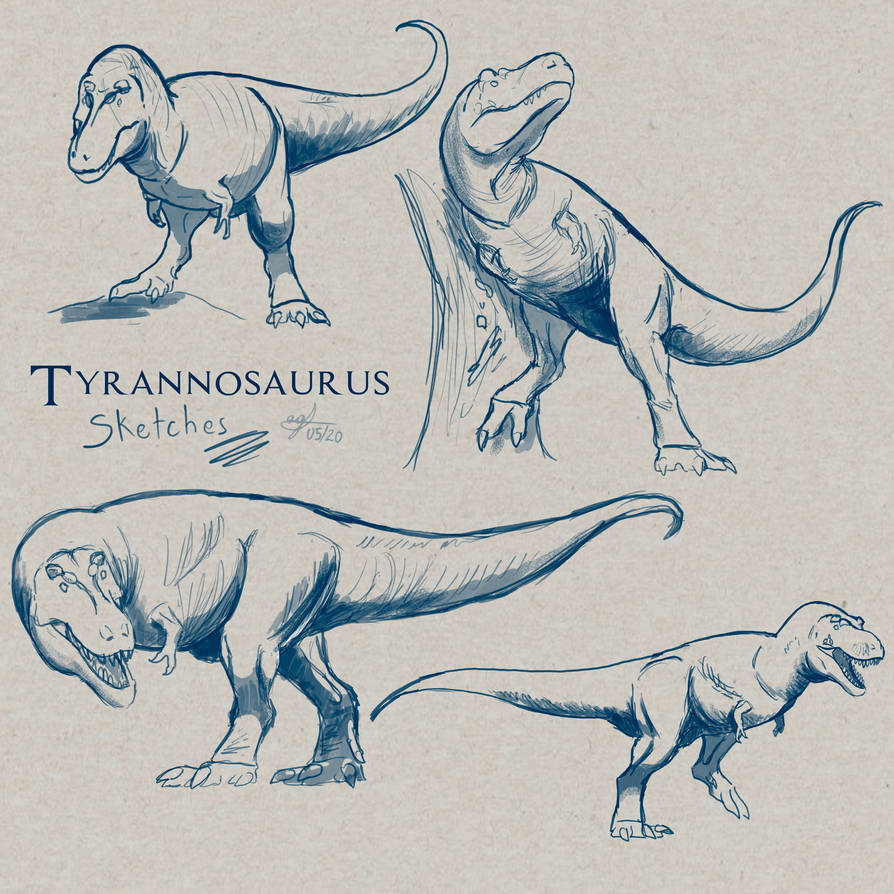 Rex Body Shape Design Stan the rex BODY by allotyrannosaurus on DeviantArt