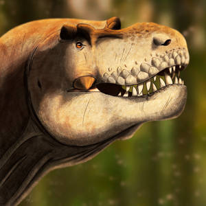 Tyrannosaurus Rex Portrait