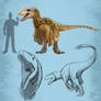 Utahraptor Sketches