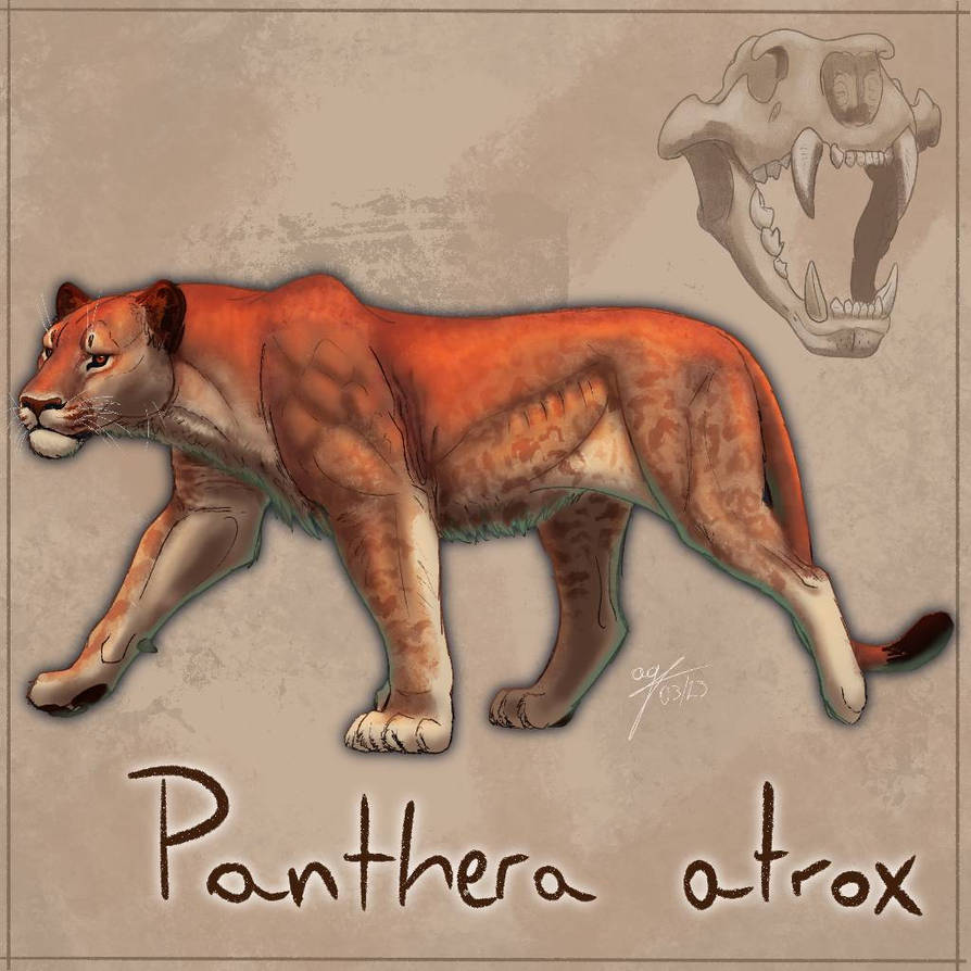 Atcrox Panthera atrox - The American Lion by allotyrannosaurus on DeviantArt