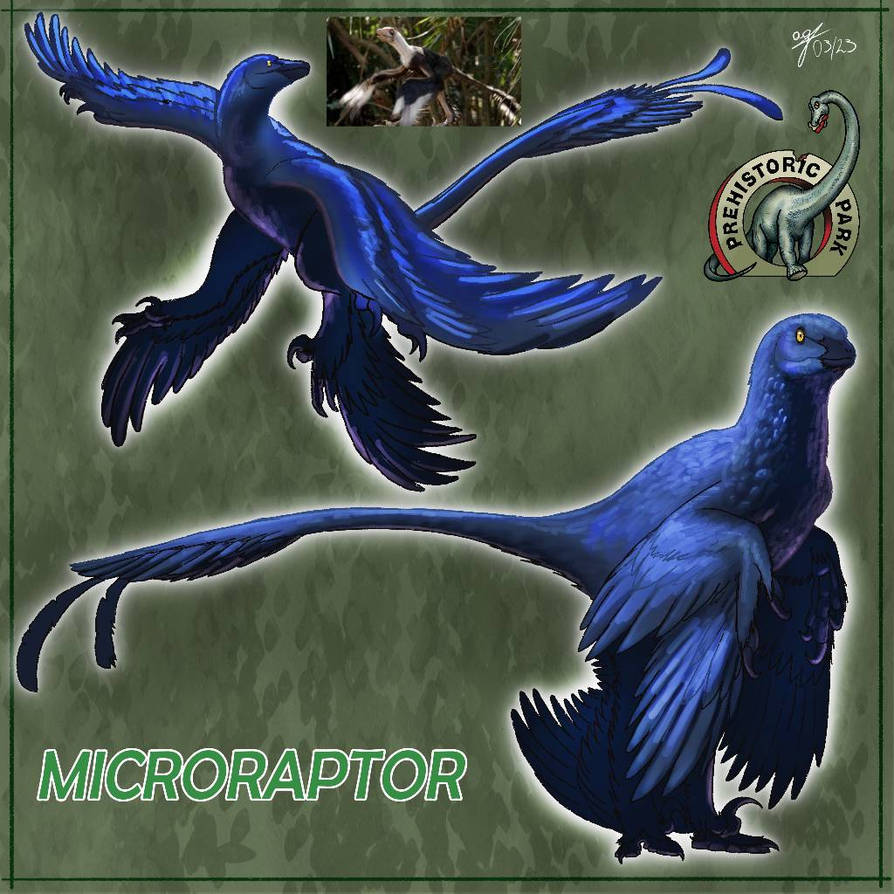 Microraptor - Prehistoric Park by allotyrannosaurus on DeviantArt
