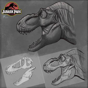 Jurassic Park T. rex skull study. 