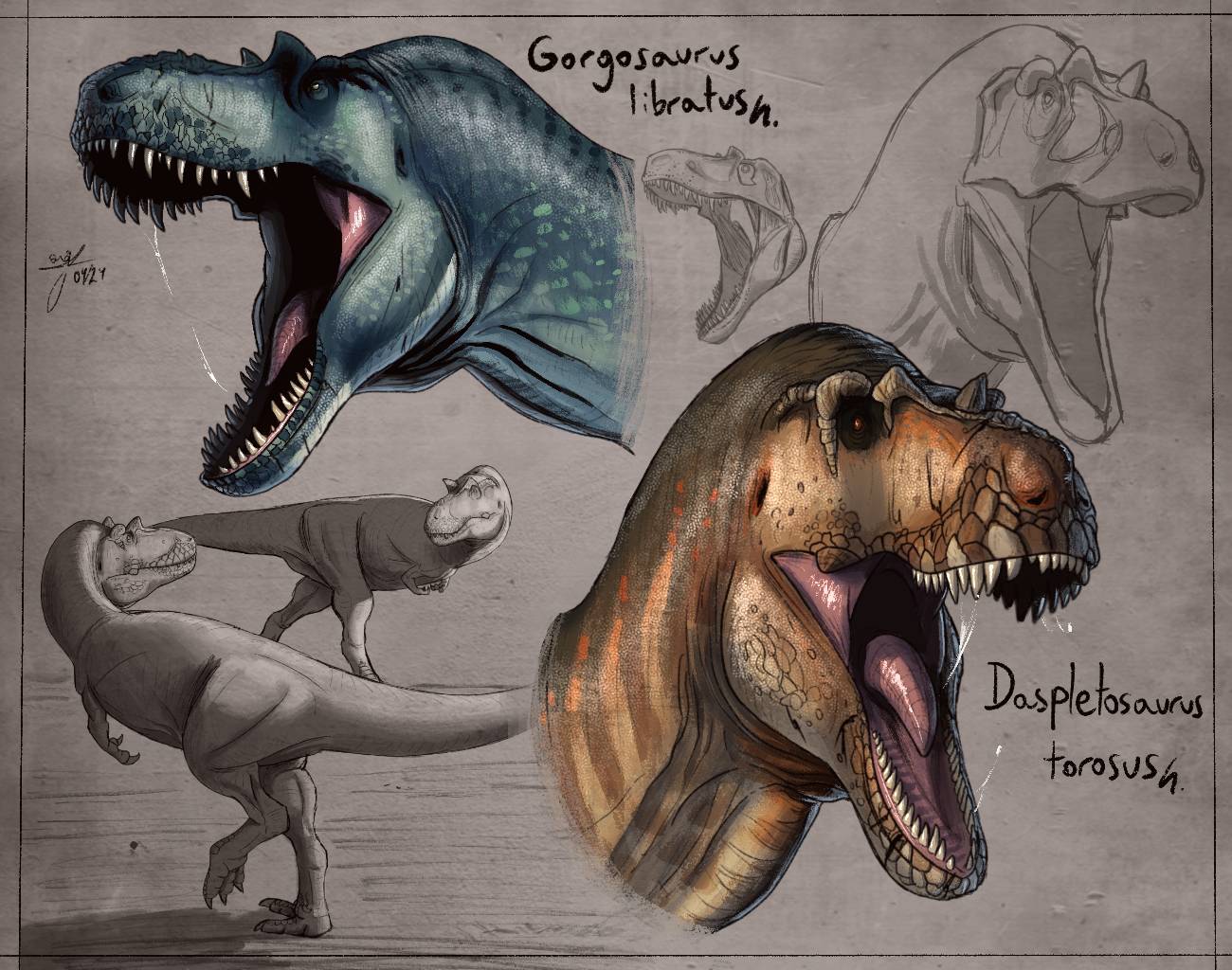 Gorgosaurus and Daspletosaurus by allotyrannosaurus on DeviantArt