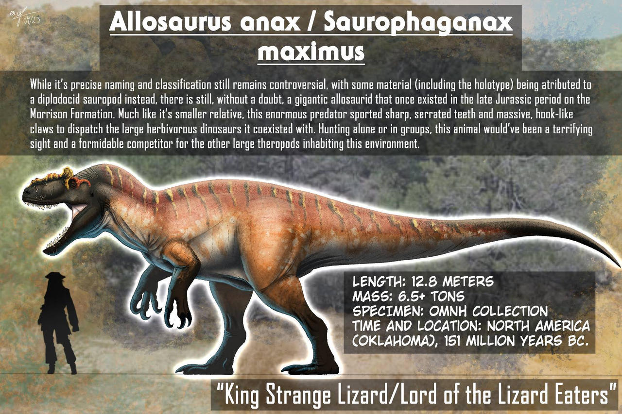 Asoaurus Megatheropods - Allosaurus anax/Saurophaganax by allotyrannosaurus on ...