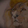Lion look