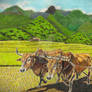 Between sky and rice paddy.