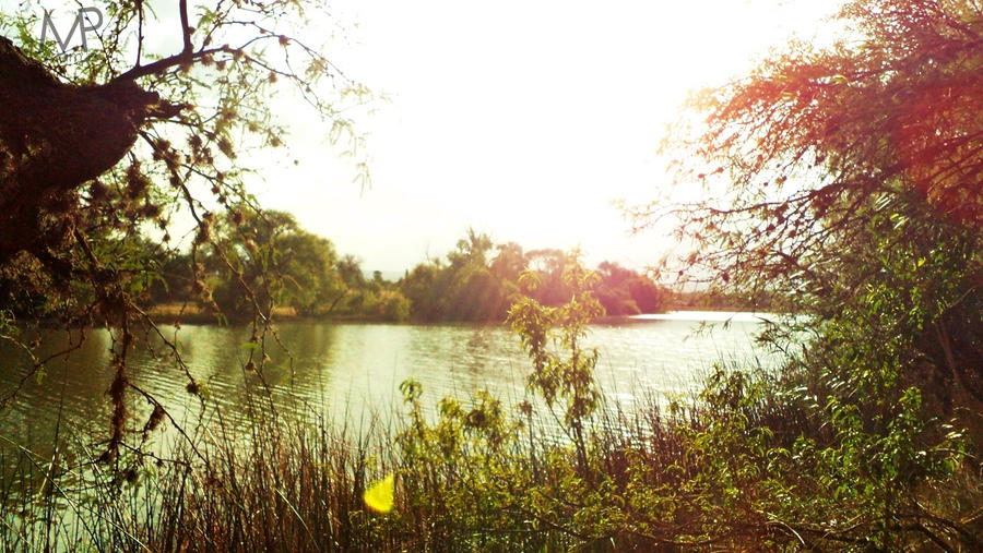 Walks along the river