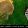 Violent Disharmony ~Warrior Cats