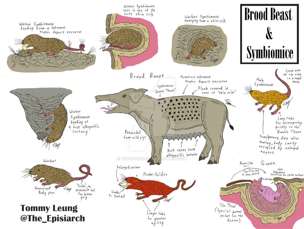 Brood Beast and Symbiomice