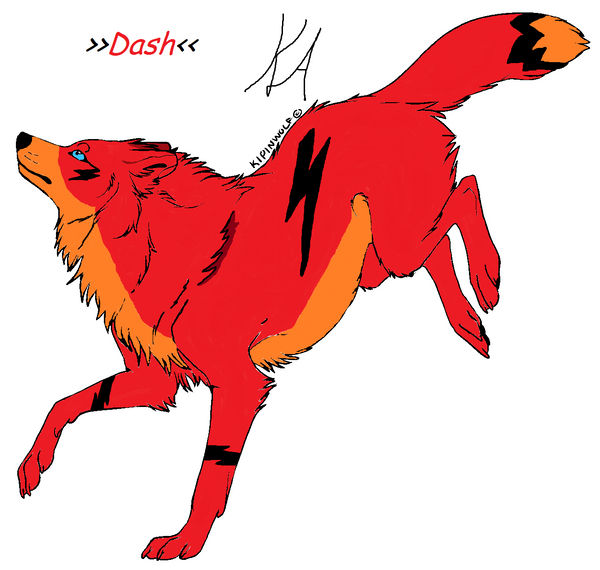Dash The Rabbit Deviantart Dash by Keroshima on DeviantArt